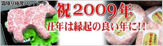 �N�N����̔��@�n���o�[�O